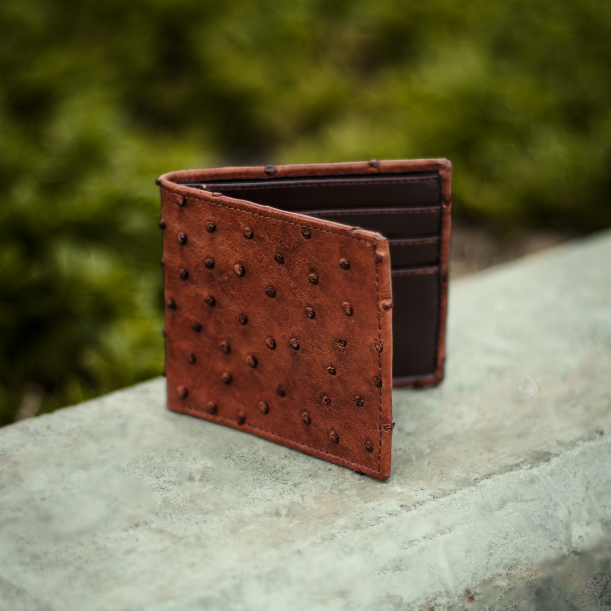 CARTERA