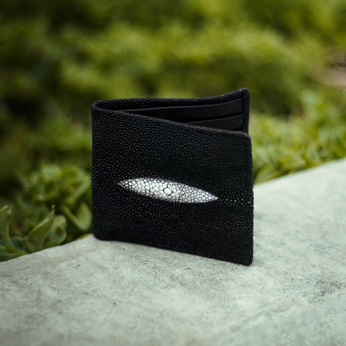 CARTERA